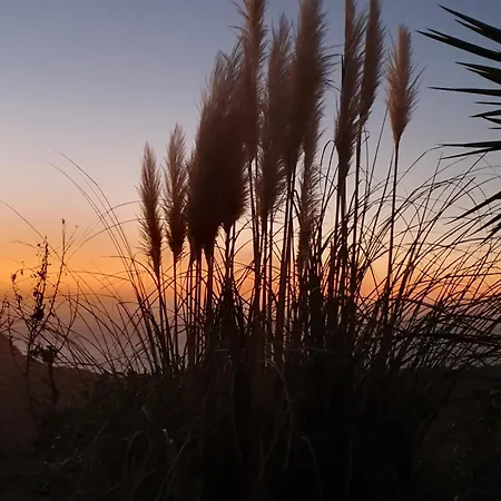 A La Campagne Appartement Villanova