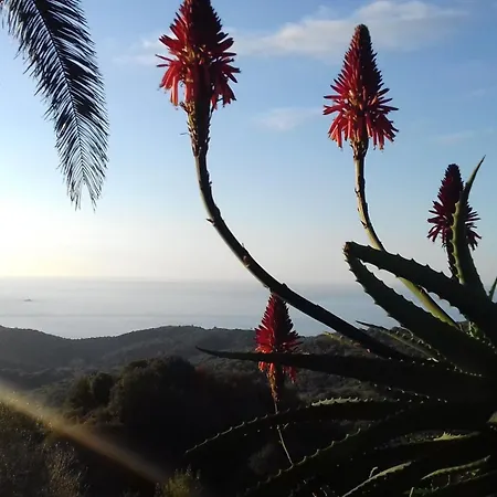 Appartement A La Campagne Villanova