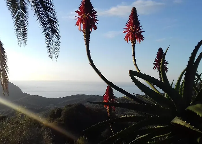 Apartmán A La Campagne Villanova